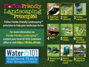 Florida-Friendly landscaping principles graphic