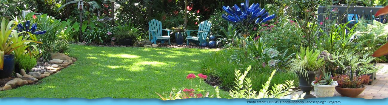 Lush Florida Friendly backyard with native plants